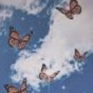 Meet your Posher, Ashlynn